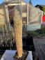 Preview: Austrocephalocereus dybowskii